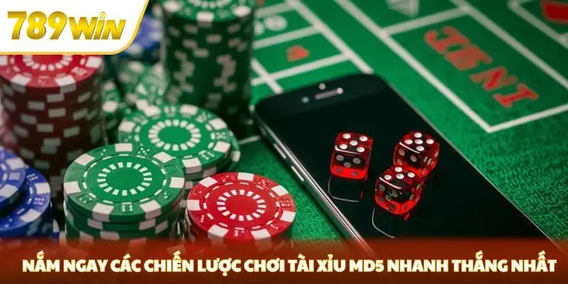 Nắm ngay các chiến lược chơi tài xỉu MD5 nhanh thắng nhất