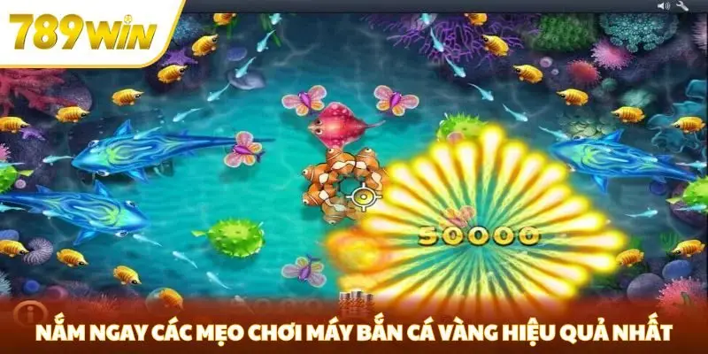 Nắm ngay các mẹo chơi máy bắn cá vàng hiệu quả nhất